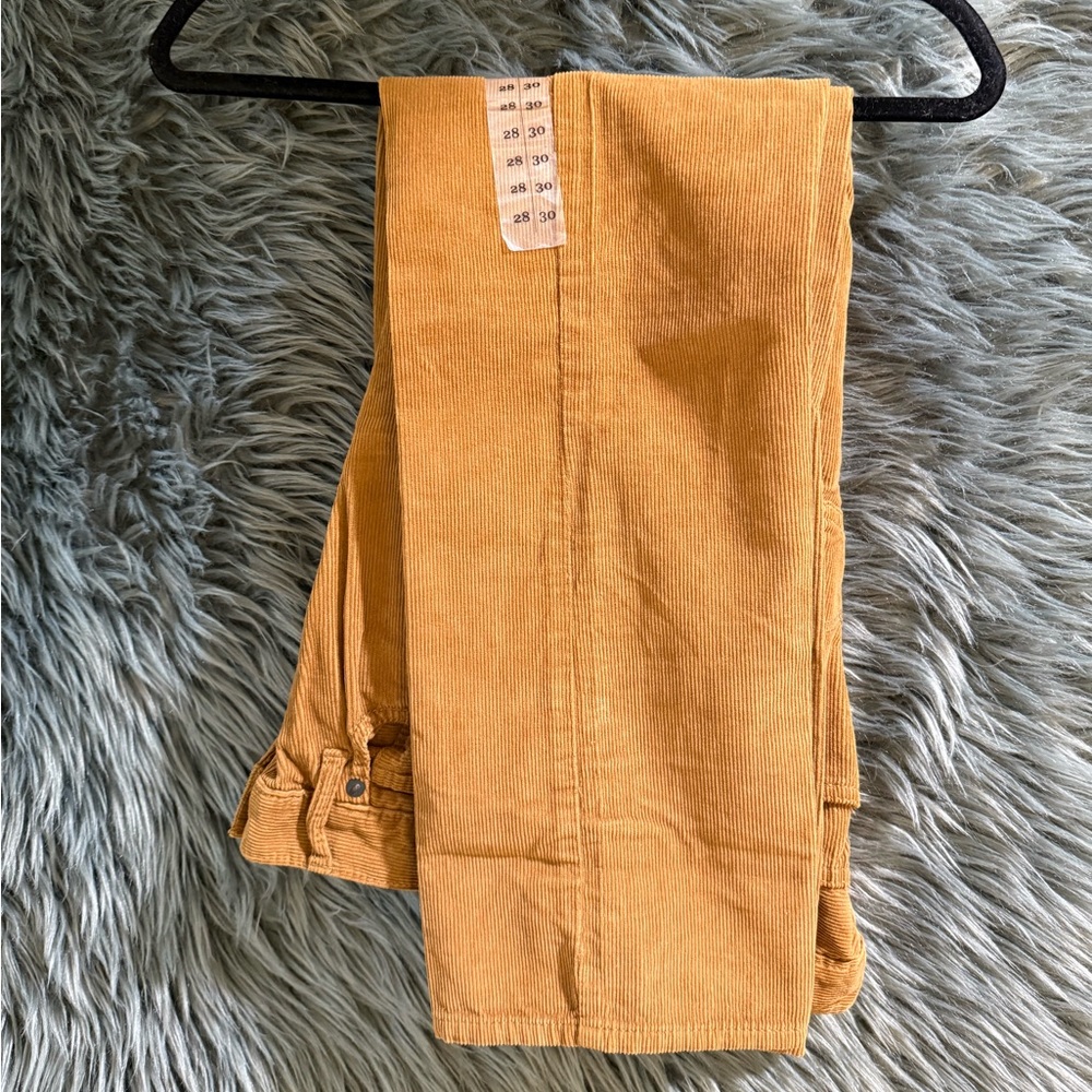 American Eagle Corduroy Pants NEW - Size 28x30